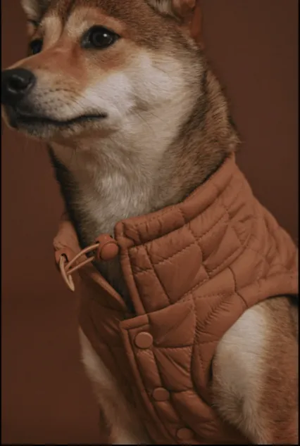 Easy Fit Jacket For Dogs - Camel