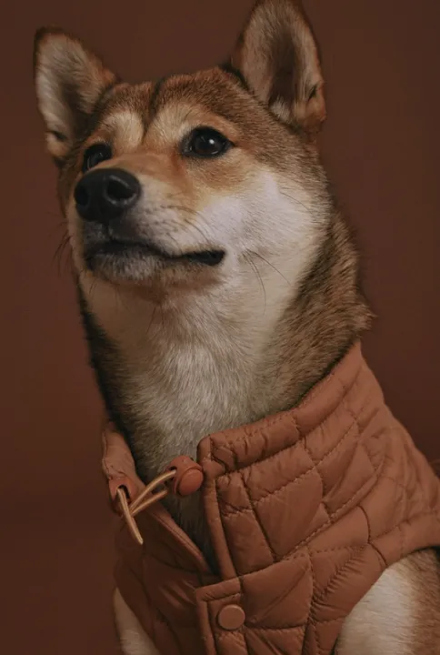 Easy Fit Jacket For Dogs - Camel